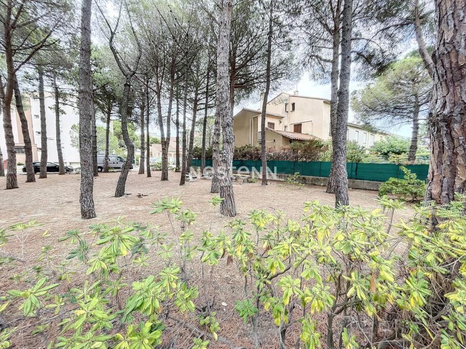 2980-appartement 1 Ch A 100m De La Argelès-sur-Mer
