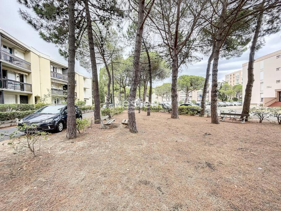 Appartement 2980-appartement 1 Ch A 100m De La Argelès-sur-Mer